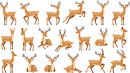 Fototapeta premium Deer Vector Collection Featuring Cute Woodland Reindeer Characters in Various Poses, Forest Animal Illustration Set Isolated on White Background