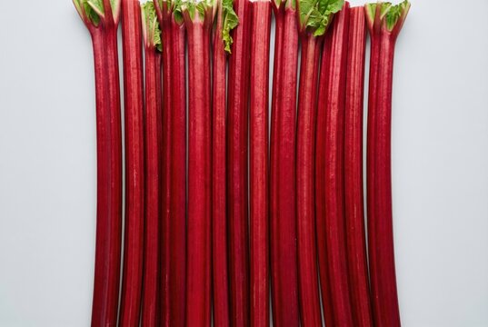 Freshly harvested rhubarb stalks arranged in a neat row highlighting vibrant red colors and green leafy tops conveying a sense of abundance and agricultural vitality