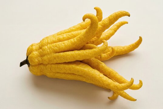 Unique botanical illustration of a citrus fruit with unusual spiky appendages showcasing its vibrant yellow skin and intricate texture symbolizing exotic agriculture and natural creativity