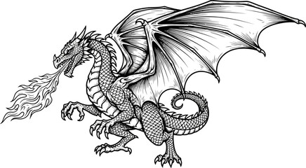 Western dragon breathing fire in combat stance