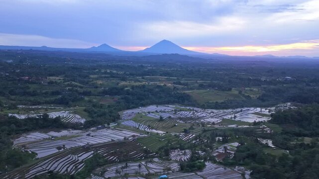 Beautiful aerial view showing the jatiluwih rice terraces in bali at sunrise, with mount agung and mount batur in the background