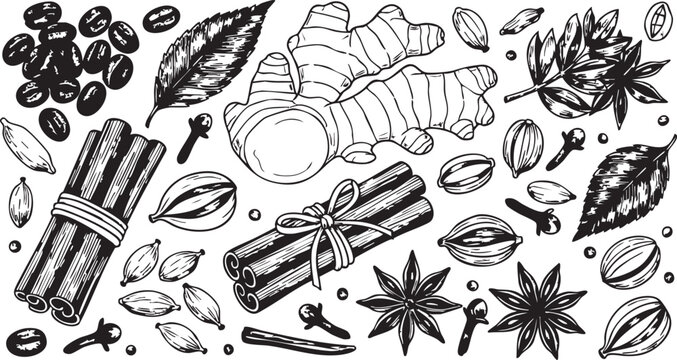 Aromatic collection of hand drawn vector spice elements featuring ginger root bundled cinnamon sticks cardamom pods star anise cloves coffee beans and textured leaves scattered
