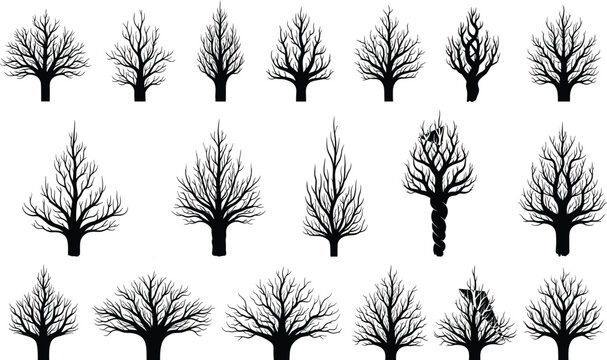 Set of bare tree silhouettes with detailed branches isolated vector illustration for winter forest design elements and nature themed projects