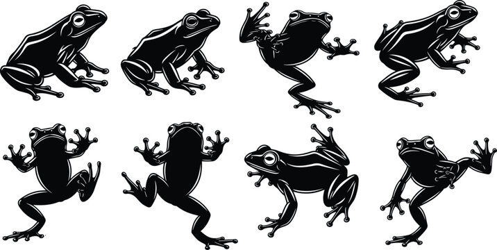 Set of black frog silhouettes collection amphibian vector illustration isolated on white background wildlife animal poses detailed minimal design