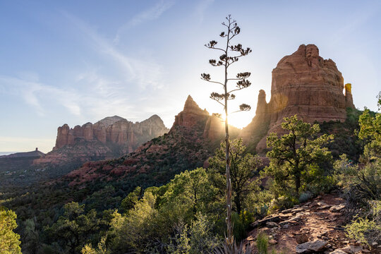 Sun sets behind red rock formations and agave in wilderness
