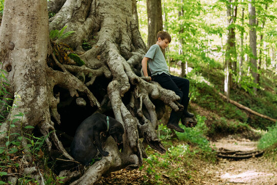 Boy and pet dog sitting on exposed tree roots