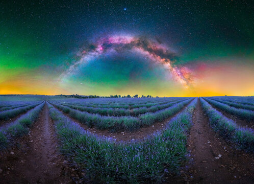 Milky Way Galaxy Arch Over Blooming Lavender Field