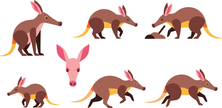 Aardvark Cartoon Character Set Featuring Different Poses Walking Digging Eating and Standing African Wildlife Animal Illustration Collection