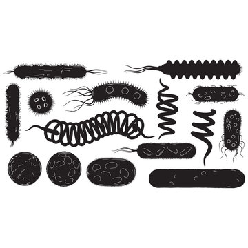 Bacteria microbes silhouette vector illustration set for microbiology science isolated on transparent background