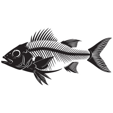 Black fish skeleton vector illustration graphic design element isolated on transparent background