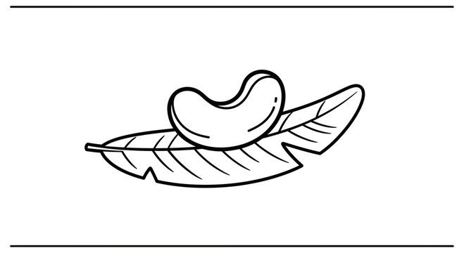Cashew Nut on a Leaf, Hand-Drawn Outline Illustration, Healthy Food Icon