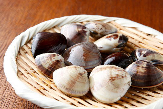 笊に盛った千葉県産蛤