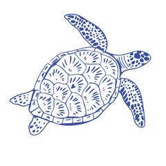 Hand-drawn turtle in trendy dolce vita style. Minimalist Mediterranean summer illustration with  blue outlinу. Seaside vibes, vacation mood and coastal aesthetics. Modern doodle vector isolated © m_matvi