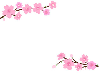 Fototapeta premium pink cherry blossom