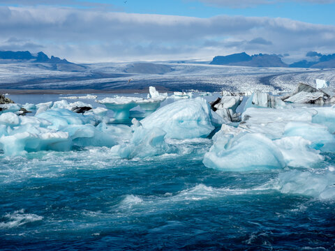 Icebergs flowing into the ocean along the narrow strait from Iceland's Jokulsarlon Glacier Lagoon
