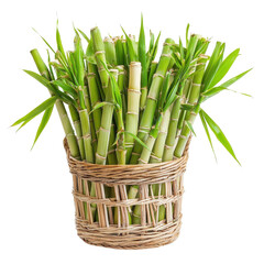 Fototapeta premium Basket of sugarcane, isolated on a white background. PNG