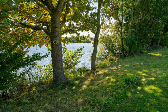 the lake Hasesee in Bramsche