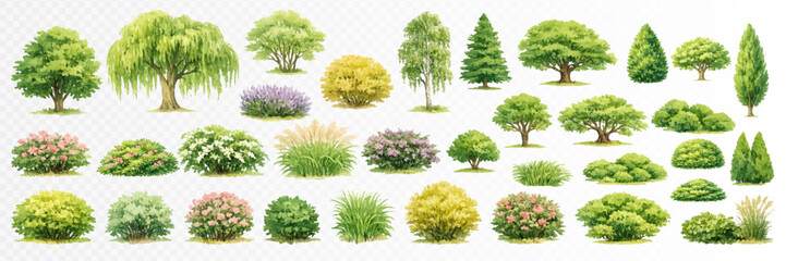 Fototapeta premium Large collection of ornamental trees and shrubs in soft realistic watercolor garden style, detailed green landscape clipart set for park plans, outdoor design, landscaping and nature projects. Vector
