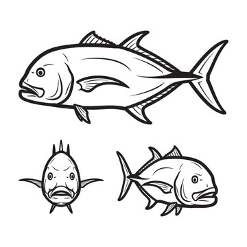 Giant Trevally GT Three View Bold Line Art Vector Design