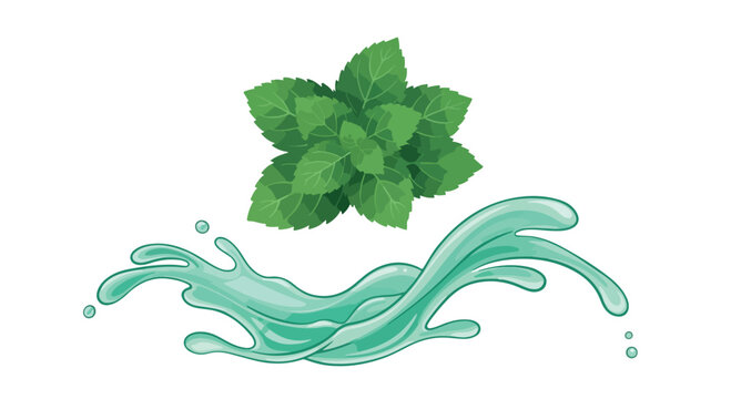 Fresh green mint leaves with a dynamic aqua blue water splash vector illustration, ideal for refreshing beverage, dental, or cosmetic product branding and packaging design