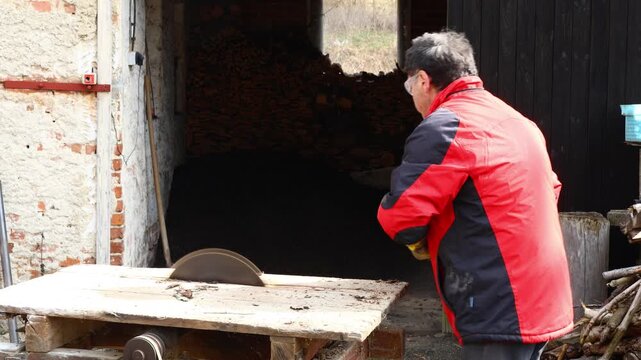 senior cutting wood on a circular saw in a village farm setting, processing dry branches and preparing firewood as part of regular home work carried out in an outdoor rural workspace beside farm build