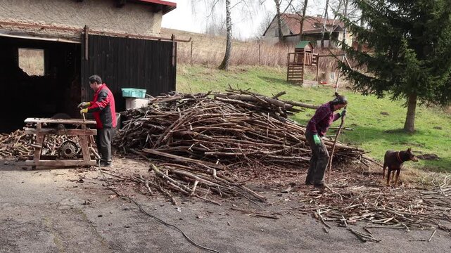 senior cutting wood on a circular saw while a woman pulls branches from a pile and prepares them for cutting in a rural yard setting