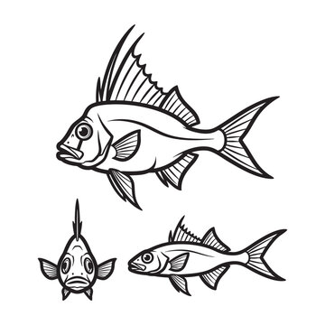 Lookdown Fish Compressed Three View Bold Line Art Vector Design