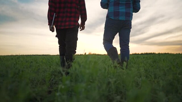 Farmer and man walk together. Talk flows on field with grass. Nature at sunset makes outdoor calm. Grass shows way for team. Farmer guides man on field. Together they walk, talk, enjoy sunset.