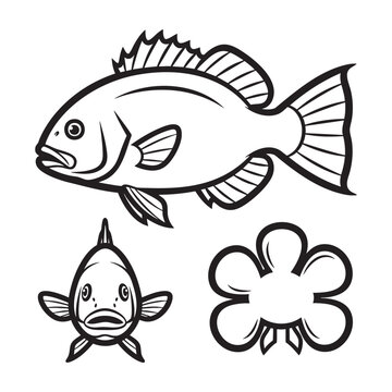 Atlantic Tripletail Three View Bold Line Art Vector Graphic Design