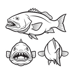 Fototapeta premium Cubera Snapper Canine Teeth Three View Bold Line Art Vector Set