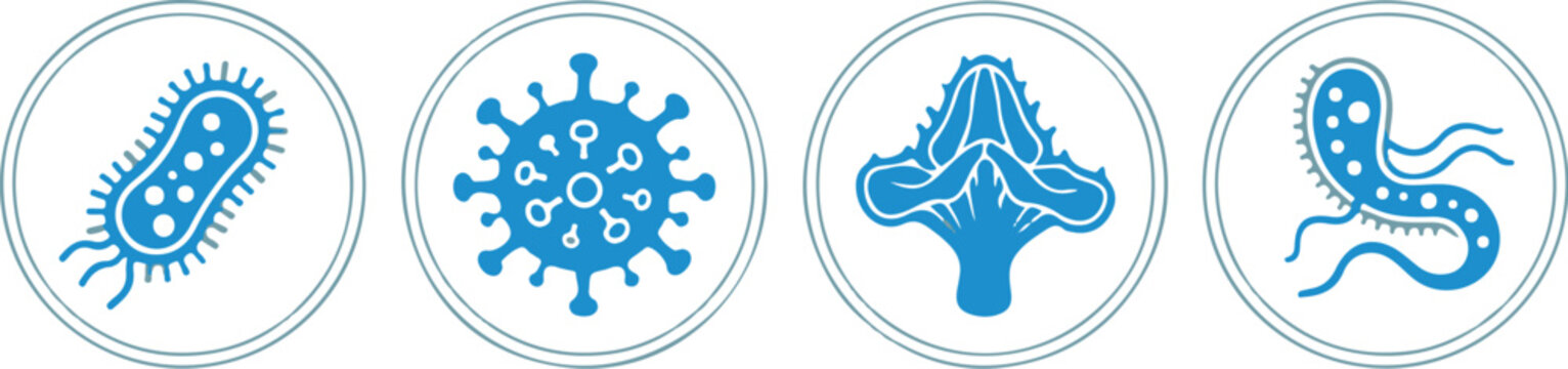 A graphic illustration of four types of microorganisms including bacteria, viruses, fungi, and parasites.