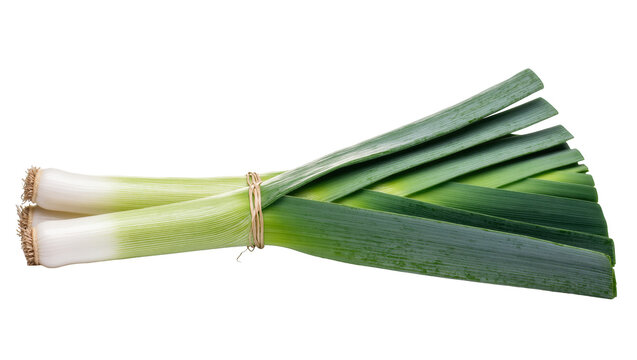 Fresh organic leeks tied together, a healthy and versatile cooking vegetable ingredient.
