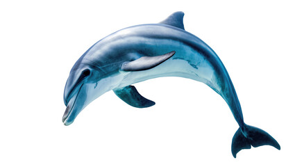 Graceful bottlenose dolphin swimming majestically, captured in motion, displaying its sleek aquatic form © Federica