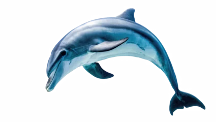 Fototapete Delphin Graceful bottlenose dolphin swimming majestically, captured in motion, displaying its sleek aquatic form  © Federica