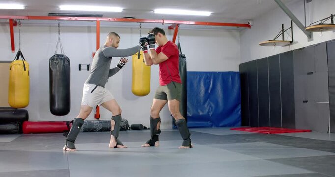 Diverse male training partners entering gym on mats, raising guard, feinting, kicking, blocking