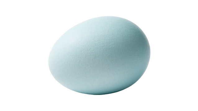 Delicate pastel blue egg from a rare breed chicken a fresh and healthy farm product