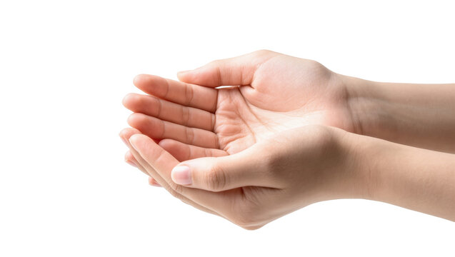 Empty hands cupped together, palms up, ready to give, receive or hold something