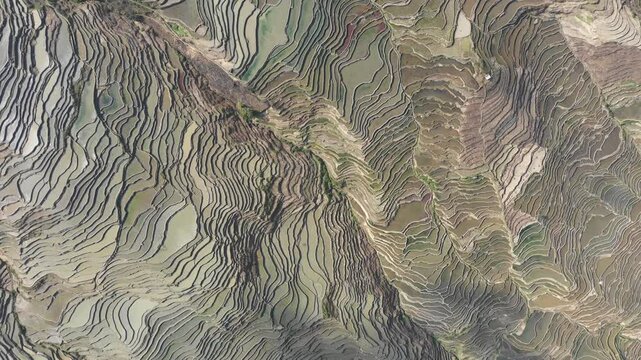 Bird's eye perspective of water filled rice paddy fields in Yuanyang, China
