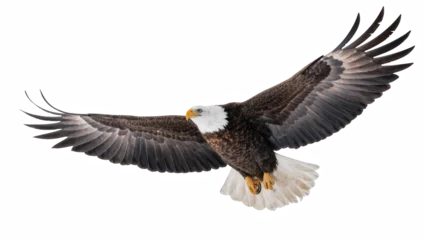 Fototapeten Adler Powerful American bald eagle soaring with wings spread, a symbol of freedom and strength.  © Natasha