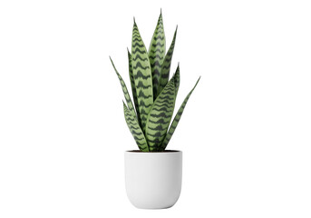 Fototapeta premium A potted snake plant with green and black leaves in a white pot isolated on transparent background