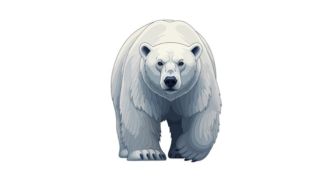 A polar bear illustration with a white and gray fur texture, set against a clean white background, conveying an iconic and endangered species in a simple, cartoon style.