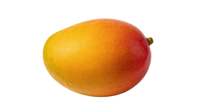 Ripe yellow and red mango fruit, whole and fresh, ready for healthy eating and summer