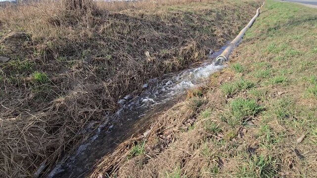 Large fire hose pumps dirty water and sludge into a ditch during flood cleanup operation on a meadow showing environmental impact.