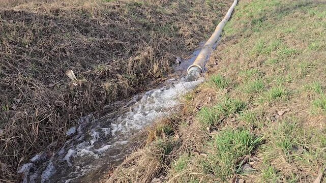 Flood emergency pumping system moving muddy wastewater through thick hose toward ditch in natural field environment.