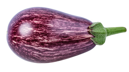 A single fresh graffiti eggplant with unique purple and white striped skin and green stem © Natasha