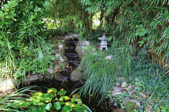Petite cascade dans jardin japonais