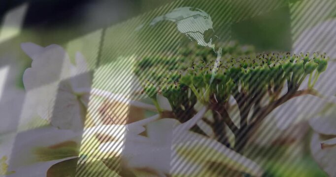 Striped mask sliding from left, rectangle reflecting and globe rotating over white bloom for tech
