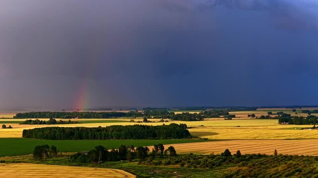 Rainbow appears over golden farmland beneath dark rain clouds, with sunlit fields, distant trees and a peaceful rural horizon. Atmospheric weather landscape with harvest season mood.