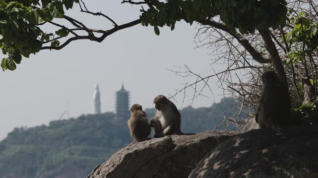3 monkeys on stone in Da Nang, Linh Ung Pagoda and Lady Buddha in background