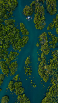 Aerial view of lush green mangrove islands and a traditional banca boat in the turquoise waters of General Luna, Caraga, Philipp